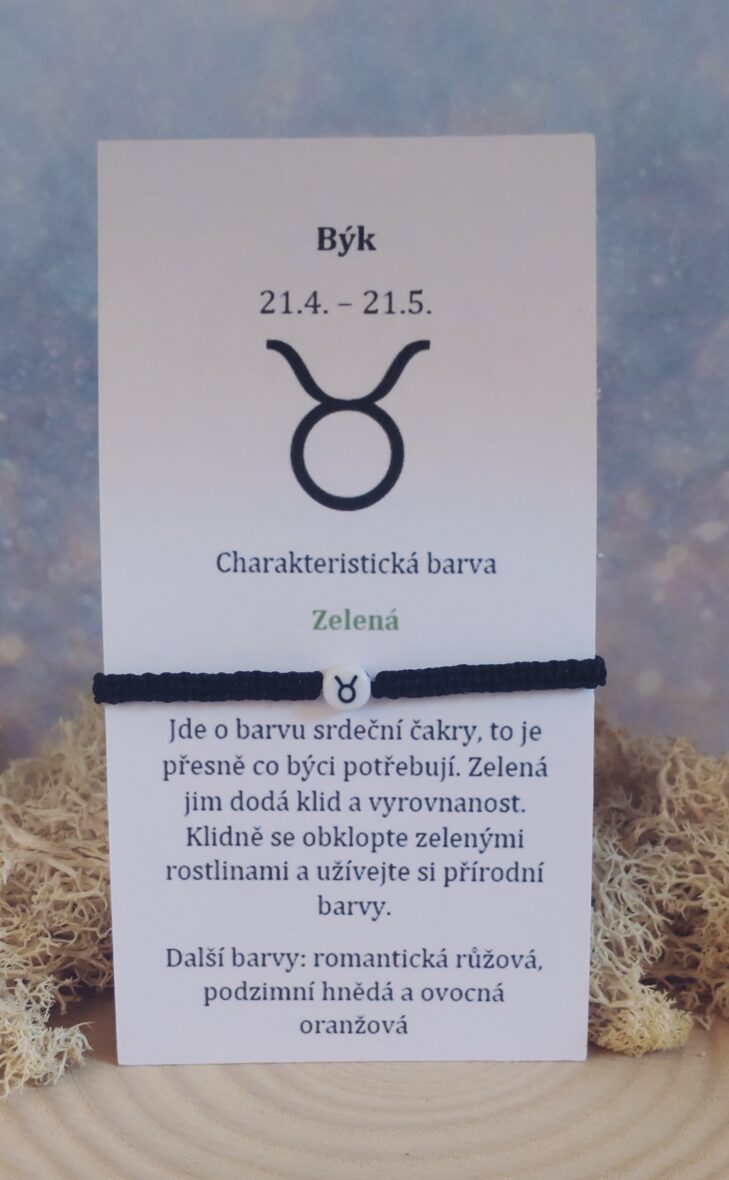 Býk k (2)