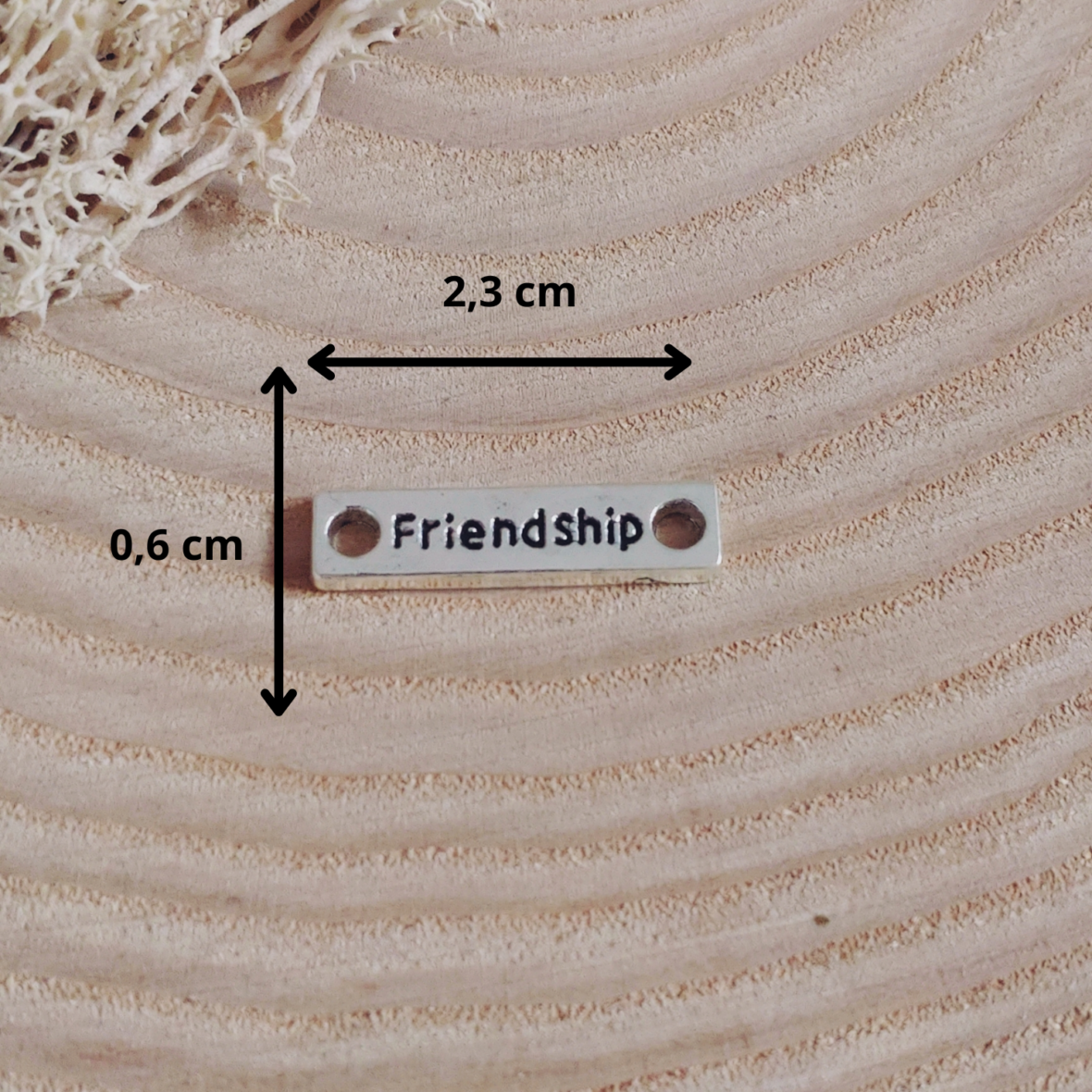 Friendship