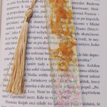 Polish_20250319_140343012