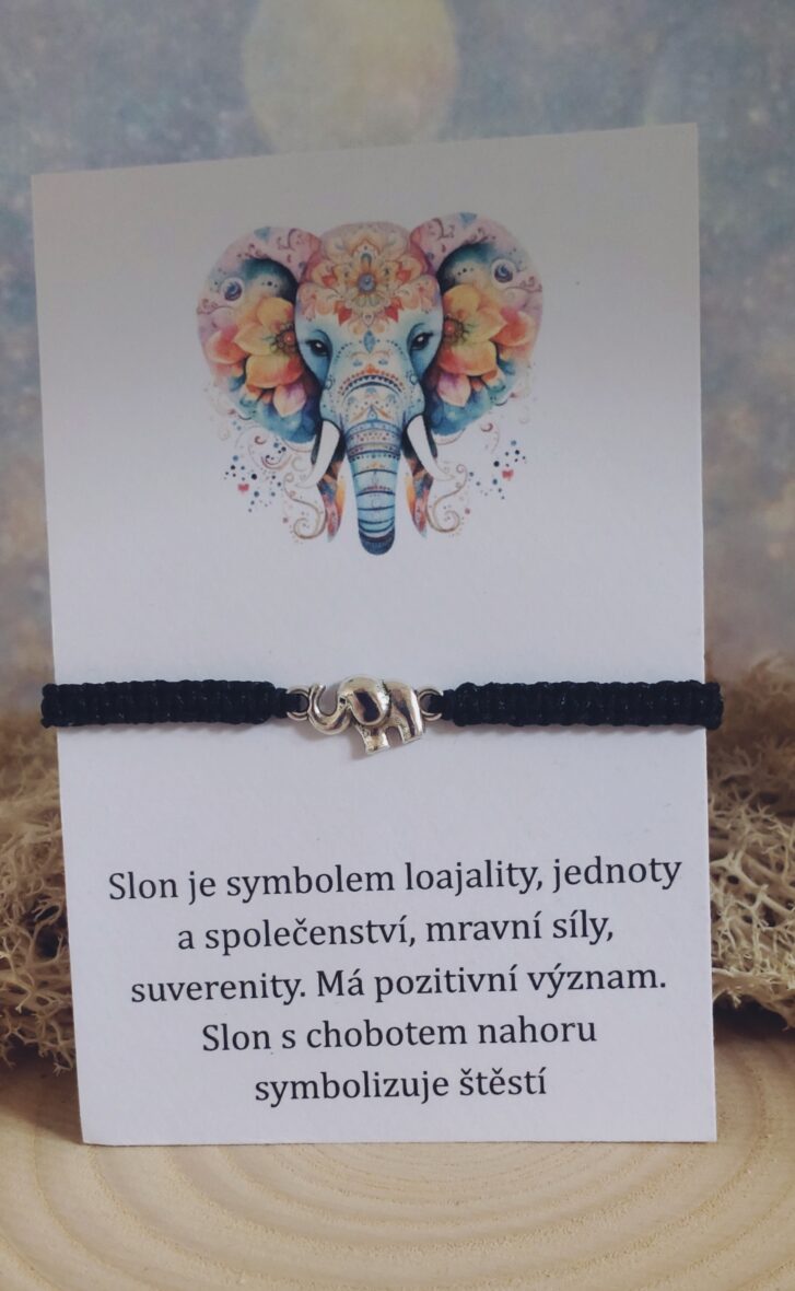 Slon černý